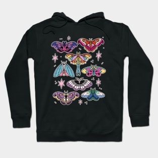 LGBTQ+ moths Hoodie